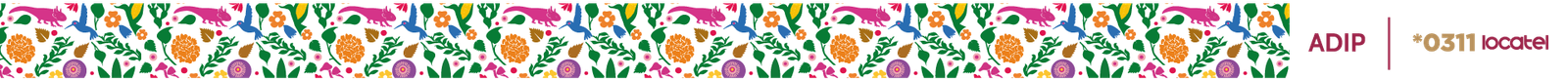 Decoración adicional del footer